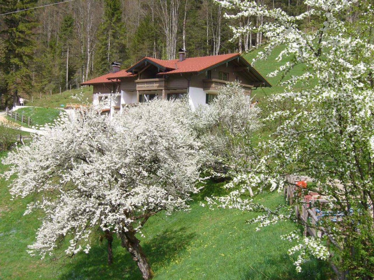 Haus Eicher Schneizlreuth Kültér fotó